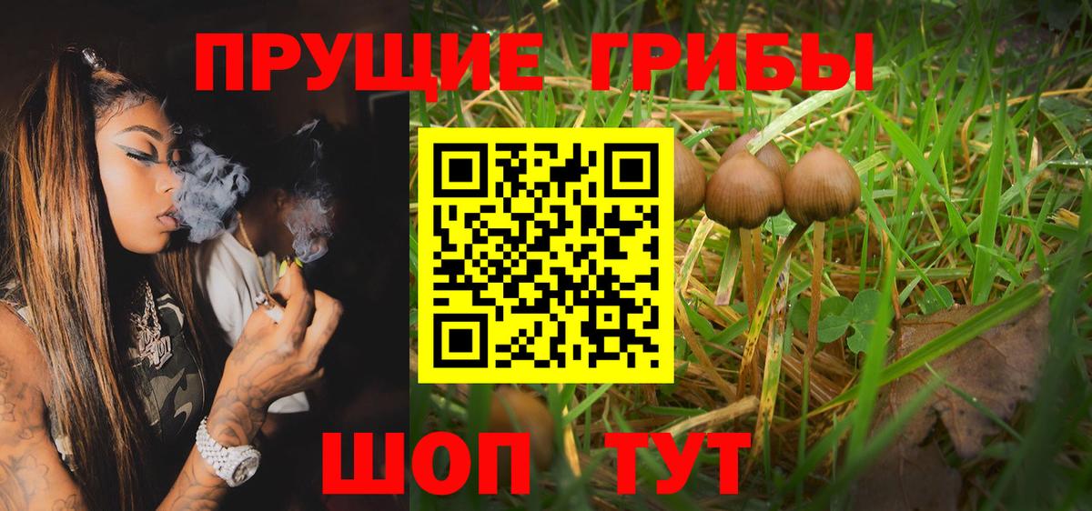 Галлюциногенные грибы Magic Shrooms  Псилоцибиновые грибы GOLDEN TEACHER  Ленинск-Кузнецкий  Вход с VPN 