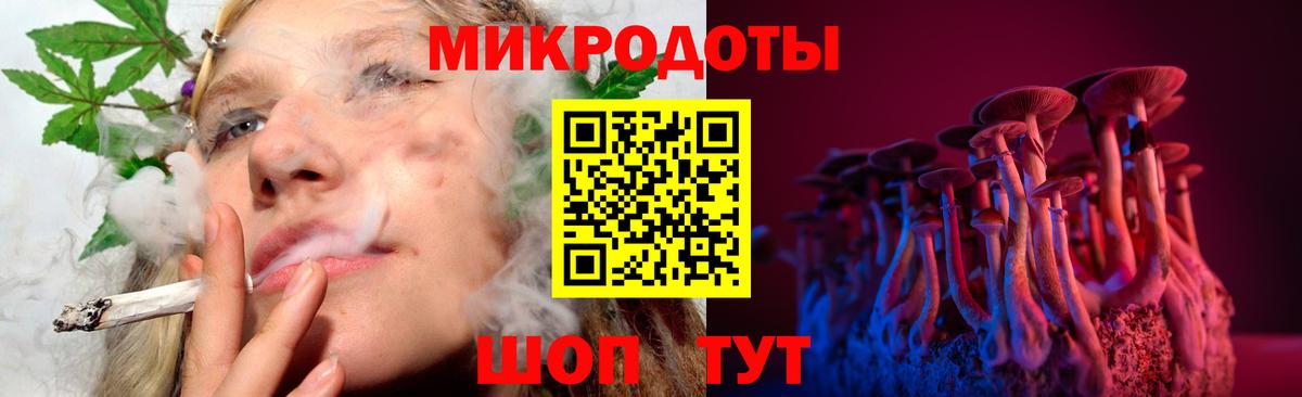 Галлюциногенные грибы Cubensis Ленинск-Кузнецкий